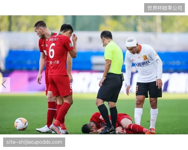 艾哈迈德霍吉奇的制空权将是波黑防线对抗非洲力量型中锋的第一道屏障。